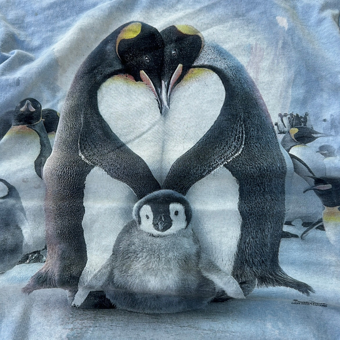 The mountain penguin tee