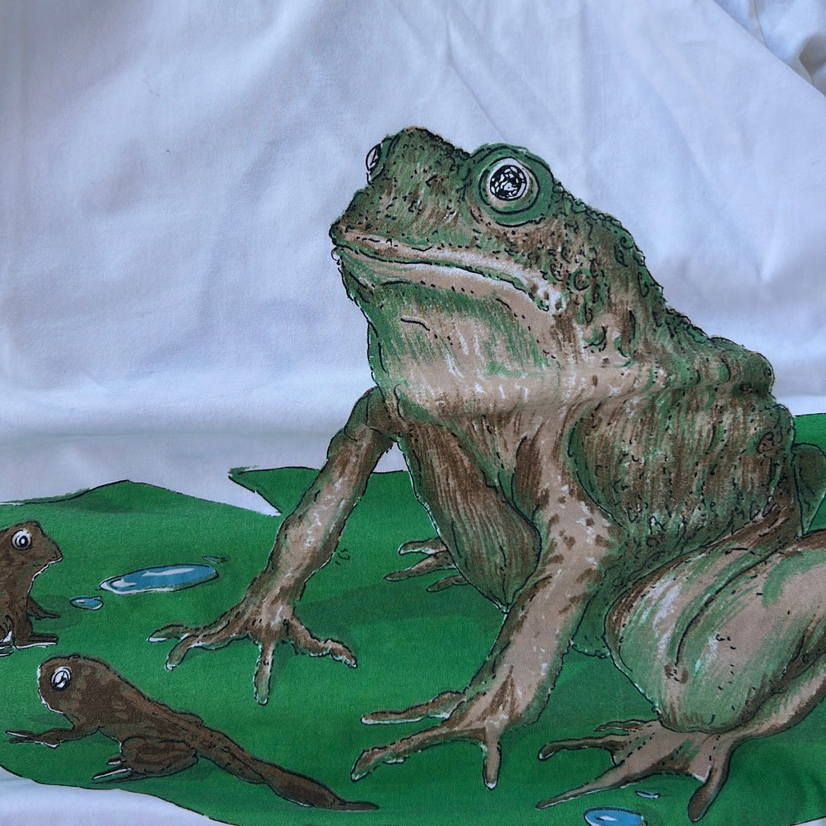 Frog lake graphic tee