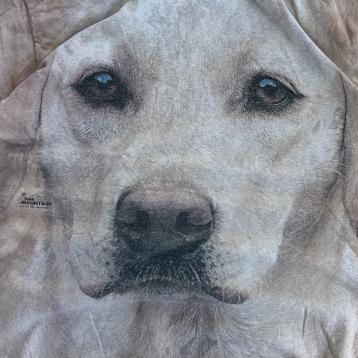 The miuntain labrador dog graphic tee (100% cotton)