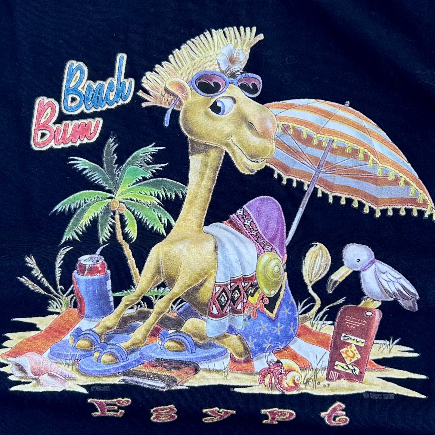 Egypt camel graphic tee (tag on)