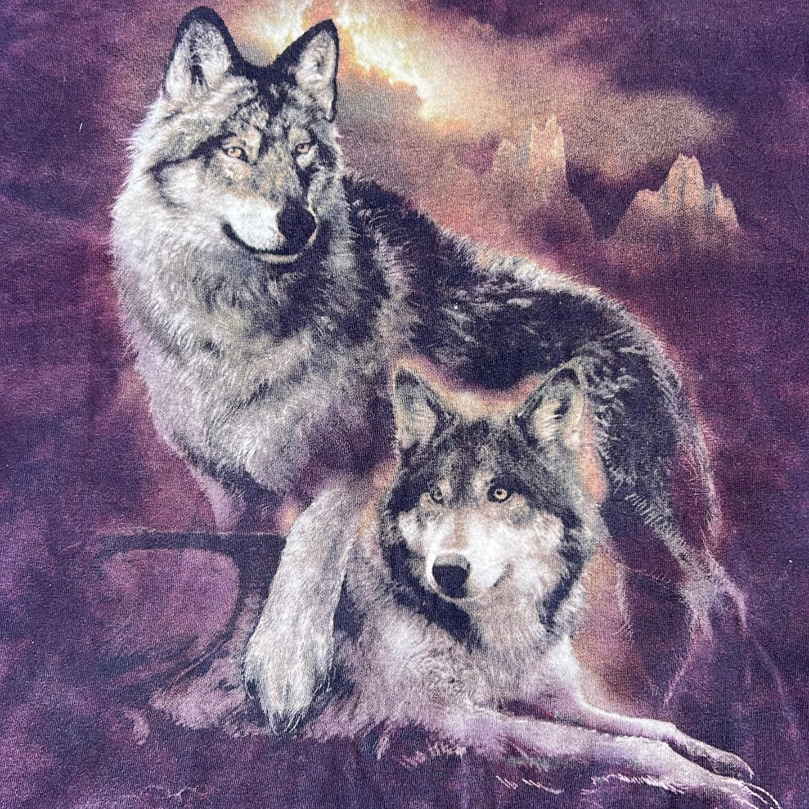The mountain Wolves graphic vintage tee (100% cotton)