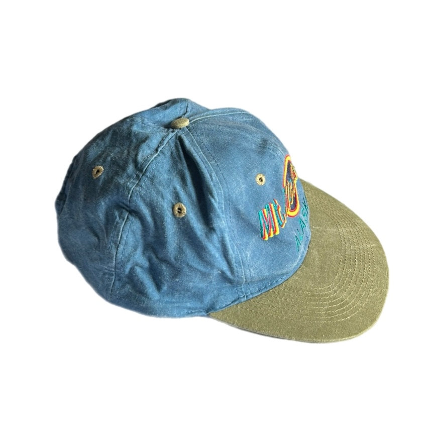 Mr. Mckinley Cap