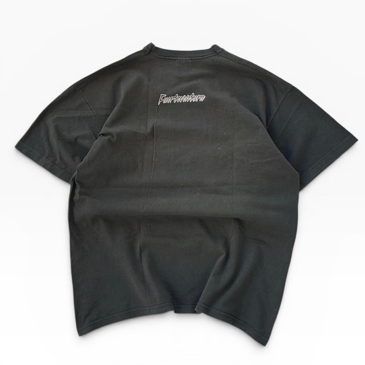 Lizard graphic Fruit of the Loom tee