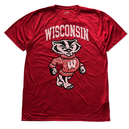 Graphic Wisconsin Graphic Tee