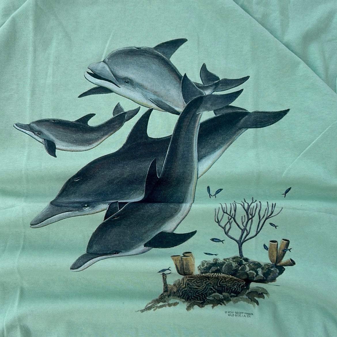 Dolphic graphic tee