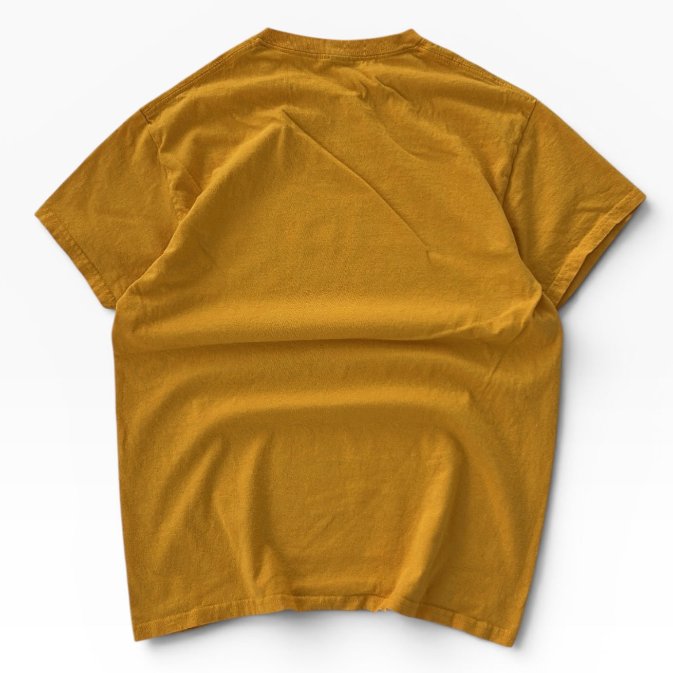 Graphic leopard tee