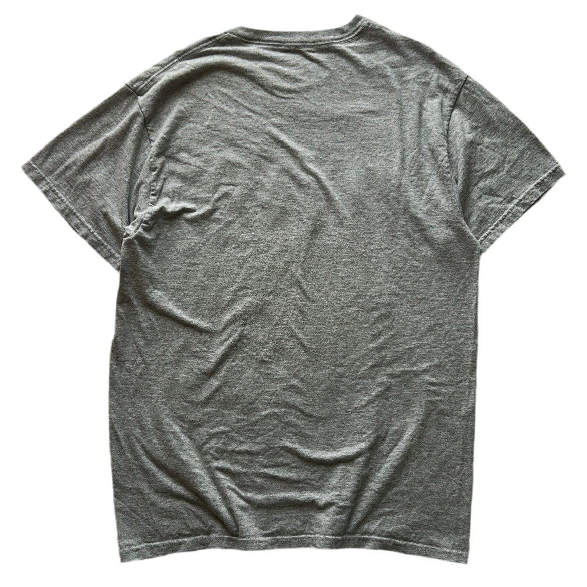 Dickies Printed Tee