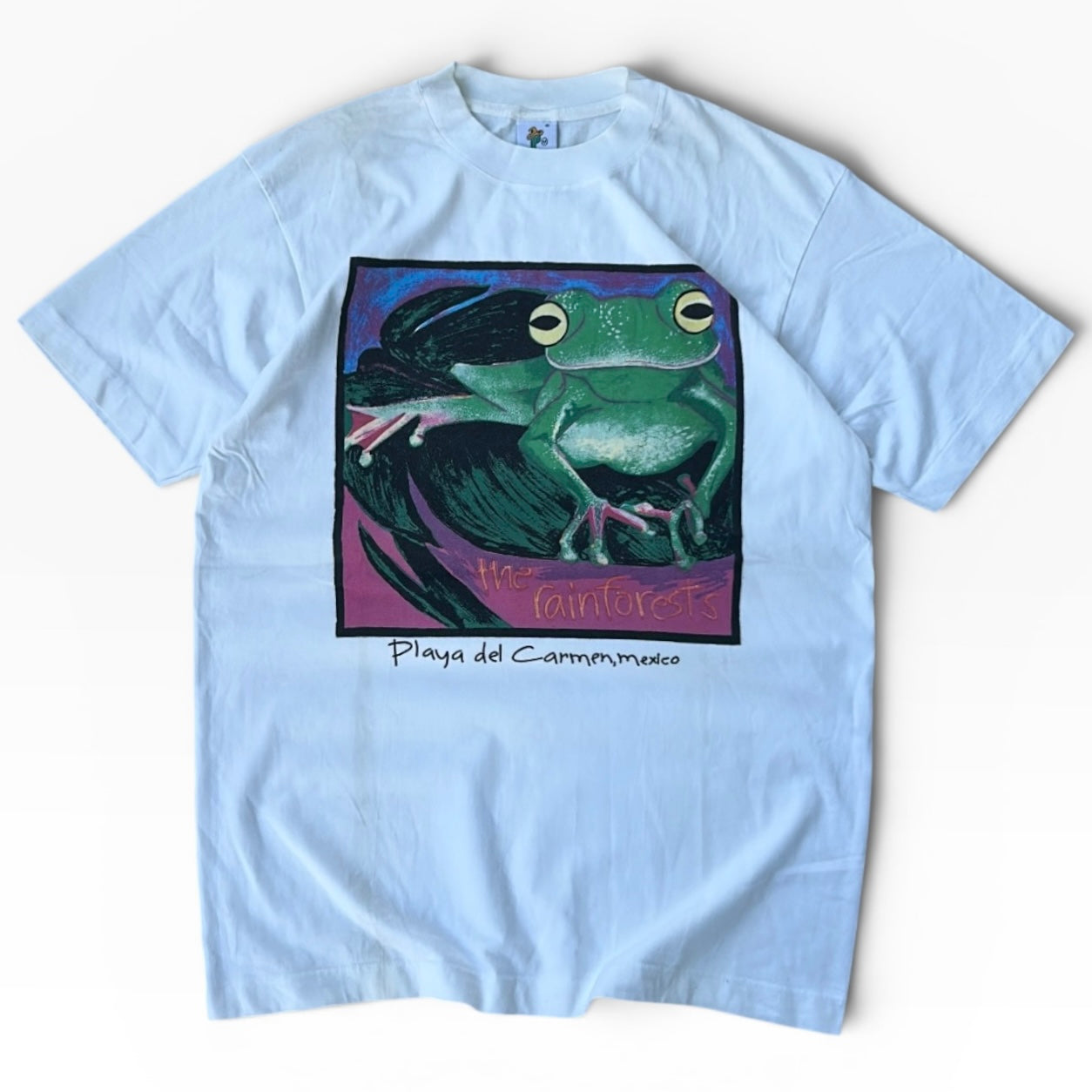 The rainforests 🐸 graphic 90’s tee