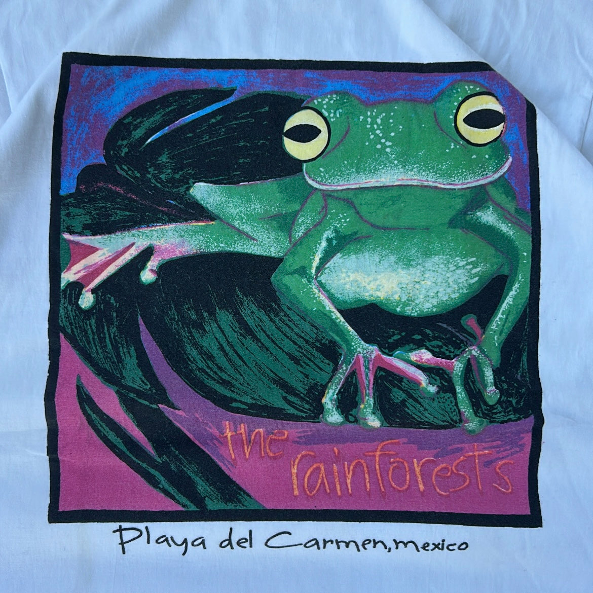 The rainforests 🐸 graphic 90’s tee