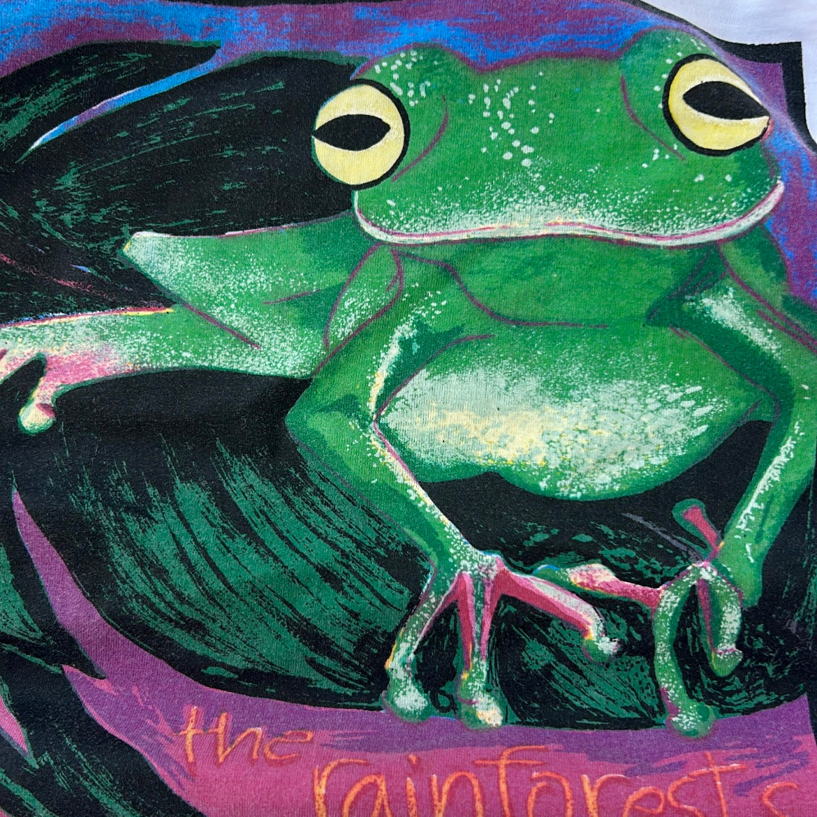 Frog pancho grpahic tee 🐸
