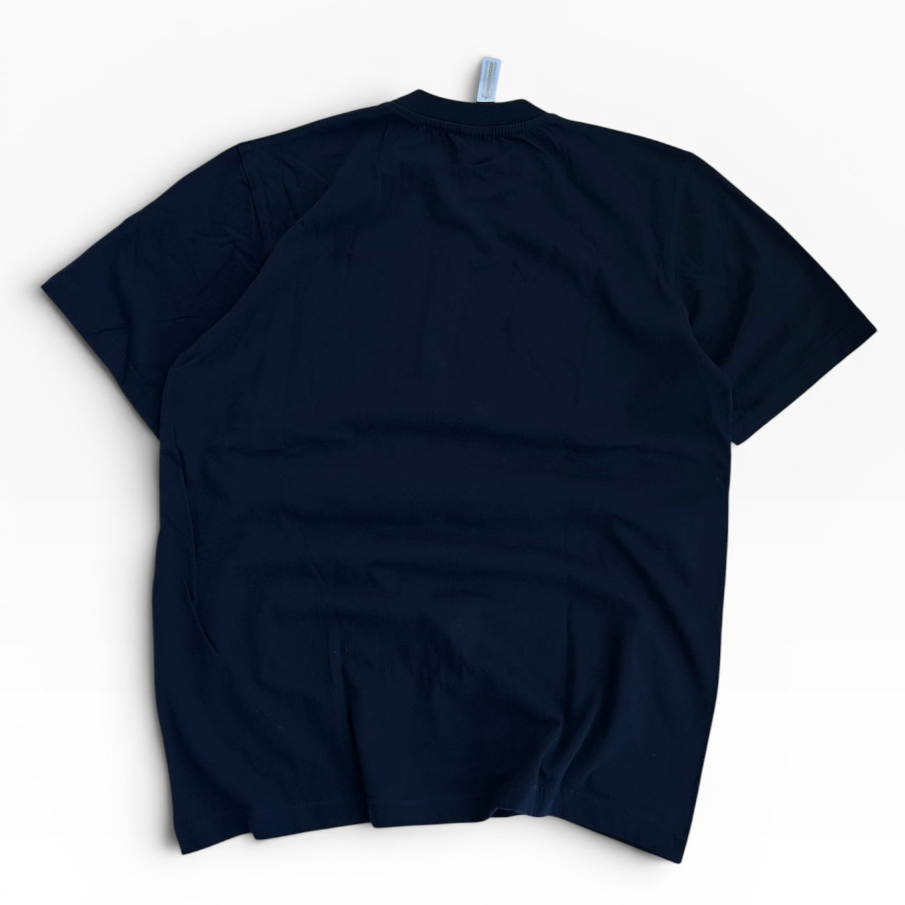 Egypt camel graphic tee (tag on)