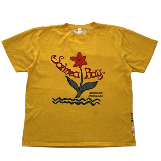 Graphic Tshirt (100% Cotton)