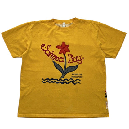 Graphic Tshirt (100% Cotton)
