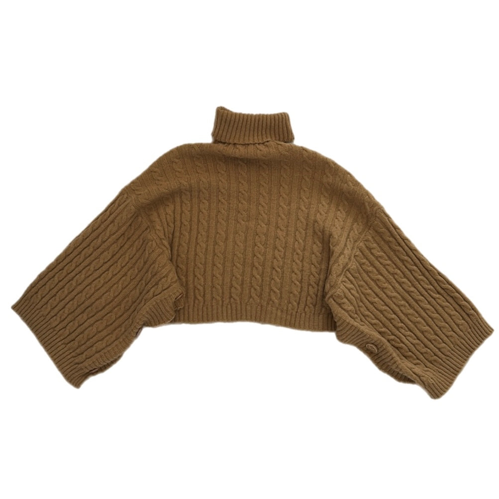 Turtle Neck Long Sleeve Crop Top