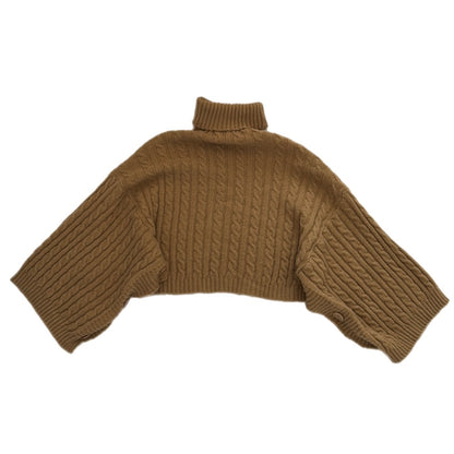 Turtle Neck Long Sleeve Crop Top